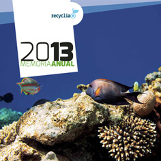 Memoria de Recyclia 2013